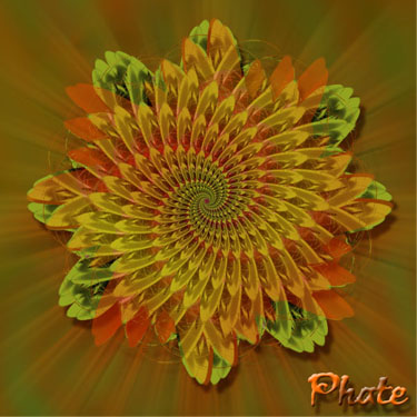 Flower Design